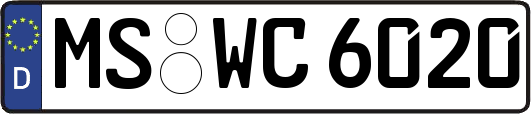 MS-WC6020