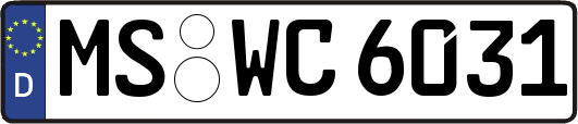 MS-WC6031