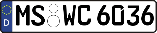 MS-WC6036