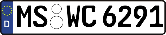 MS-WC6291