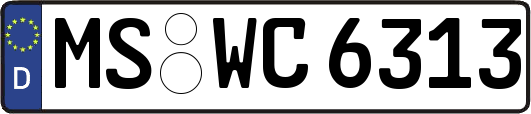 MS-WC6313