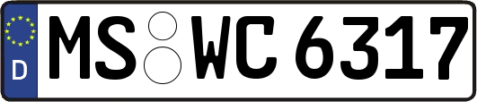 MS-WC6317