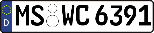 MS-WC6391