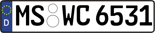 MS-WC6531