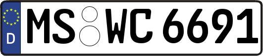 MS-WC6691