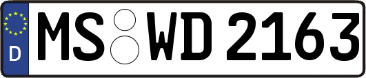 MS-WD2163