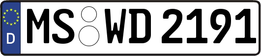 MS-WD2191