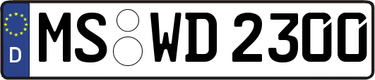 MS-WD2300