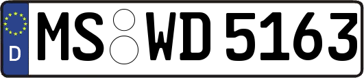 MS-WD5163