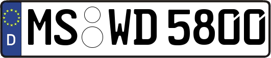 MS-WD5800