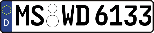 MS-WD6133