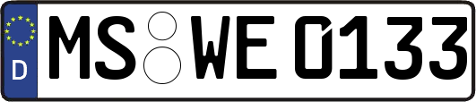 MS-WE0133