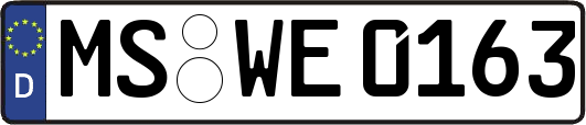MS-WE0163