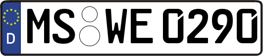 MS-WE0290