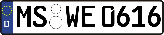 MS-WE0616