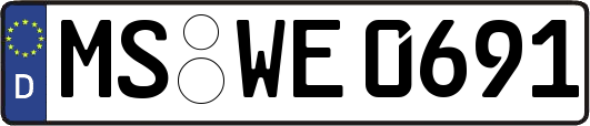 MS-WE0691