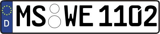 MS-WE1102