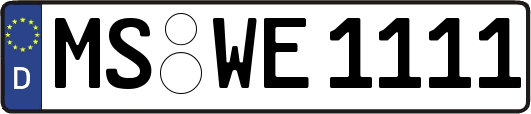MS-WE1111