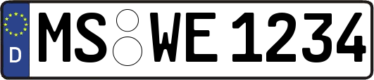 MS-WE1234