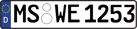 MS-WE1253