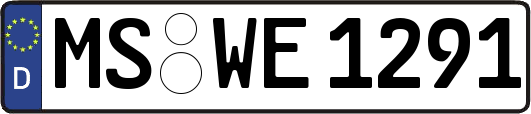 MS-WE1291