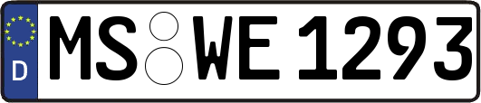 MS-WE1293