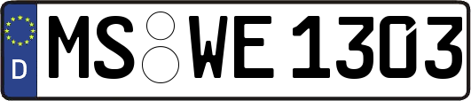 MS-WE1303