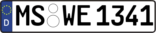 MS-WE1341