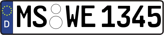 MS-WE1345