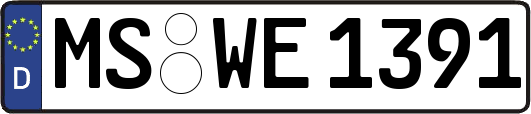 MS-WE1391