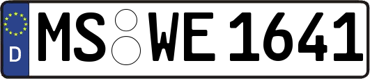 MS-WE1641