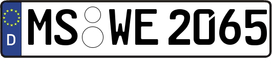 MS-WE2065