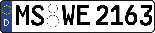 MS-WE2163