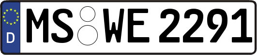 MS-WE2291