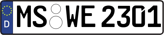 MS-WE2301