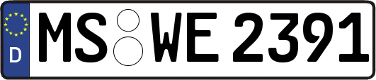 MS-WE2391