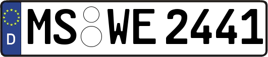 MS-WE2441