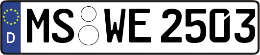 MS-WE2503
