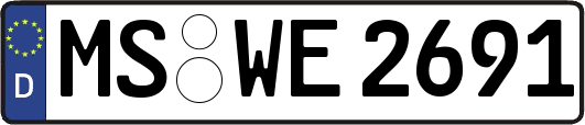 MS-WE2691