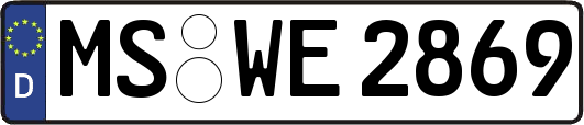 MS-WE2869