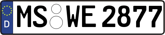 MS-WE2877