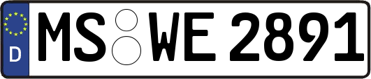 MS-WE2891