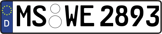 MS-WE2893