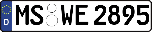 MS-WE2895