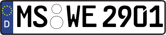 MS-WE2901