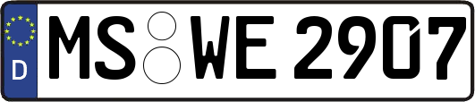 MS-WE2907