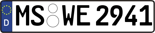 MS-WE2941