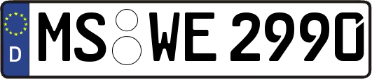 MS-WE2990