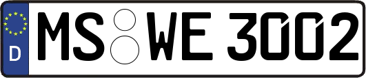 MS-WE3002