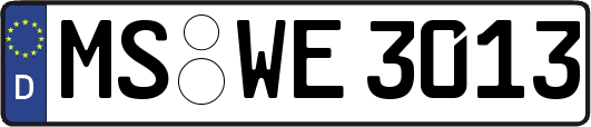 MS-WE3013